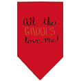 Load image into Gallery viewer, Halloween Pet and Dog Bandana Screen Printed, "All The Ghouls Love Me"
