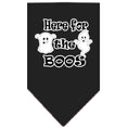 Load image into Gallery viewer, Halloween Pet and Dog Bandana Screen Printed, "Here For The Boos"