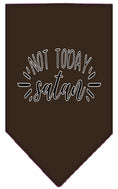 Load image into Gallery viewer, Pet and Dog Bandana Screen Printed, "Not Today Satan"