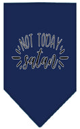 Load image into Gallery viewer, Pet and Dog Bandana Screen Printed, "Not Today Satan"