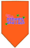 Load image into Gallery viewer, Pet and Dog Bandana Screen Printed, "Big Sister"