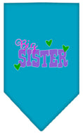 Load image into Gallery viewer, Pet and Dog Bandana Screen Printed, "Big Sister"
