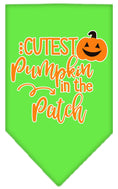 Load image into Gallery viewer, Halloween Pet and Dog Bandana Screen Printed, "Cutest Pumpkin In The Patch"