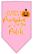Load image into Gallery viewer, Halloween Pet and Dog Bandana Screen Printed, "Cutest Pumpkin In The Patch"