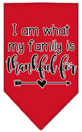 Load image into Gallery viewer, Pet and Dog Bandana Screen Printed, "I Am What My Family Is Thankful For"
