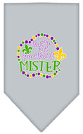 Load image into Gallery viewer, Pet and Dog Bandana Screen Printed, "Throw Me Something Mister"
