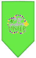 Load image into Gallery viewer, Pet and Dog Bandana Screen Printed, "Throw Me Something Mister"