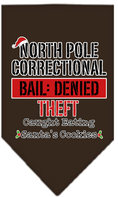 Load image into Gallery viewer, Christmas Pet and Dog Bandana Screen Printed, "North Pole Correctional"