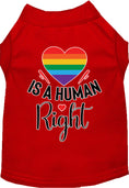 Load image into Gallery viewer, Pride Cat or Dog Shirt for Pets "Love is a Human Right"