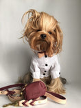 Load image into Gallery viewer, WASTE BAG HOLDER - LUSCIOUS BOW