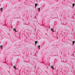 The Flock of Flamingos Dog Harness