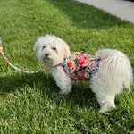 Floral Burst Leash