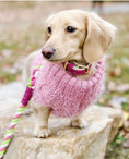 Load image into Gallery viewer, LEASH - CANDY SWIRL