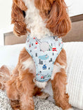 Load image into Gallery viewer, Snowy Slopes Adjustable Harness