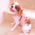 Load image into Gallery viewer, HARNESS - BELLA ROSE
