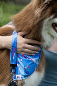 Load image into Gallery viewer, K9 Kayak Dog Bandana & Matching Keychain - Southlake Paws