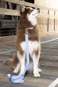 Load image into Gallery viewer, Blue Sky Orchid Waterproof Dog Collar - Southlake Paws