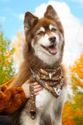 Load image into Gallery viewer, Foxes in Fall Dog Bandana & Matching Keychain - Southlake Paws