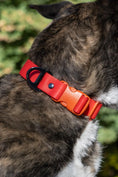 Load image into Gallery viewer, Scarlet Peaks Waterproof Dog Collar - Southlake Paws