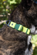 Load image into Gallery viewer, Mossy Pine Waterproof Dog Collar - Southlake Paws