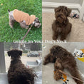 Load image into Gallery viewer, Dark Brown Velvet Set