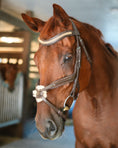 Load image into Gallery viewer, Gold Accented Figure 8 Bridle with Gold Browband