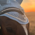 Load image into Gallery viewer, Royal Silver Ultra Bling Horse Browband