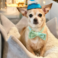 Load image into Gallery viewer, Pawty Time Dog Party Hats