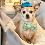 Pawty Time Dog Party Hats