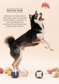 Load image into Gallery viewer, PARADISE PET TOY - CUCURBITA