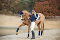 Load image into Gallery viewer, Blue Astra Saddle Pad Set