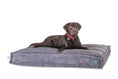 Load image into Gallery viewer, Memory Foam Dog Bed - Southlake Paws