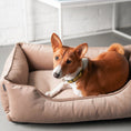 Load image into Gallery viewer, Velvet Dog Bed Dreamer - Southlake Paws