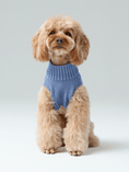 Load image into Gallery viewer, Pet Sweater Vest - Ice Blue