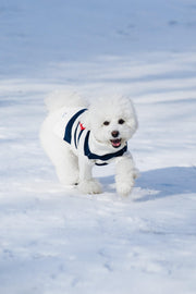 Sailor of My Heart Striped Turtleneck Sweater