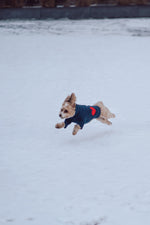 Heart to Heart Button-Up Cardigan Sweater
