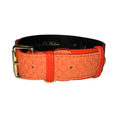Load image into Gallery viewer, The Perfect Orange Classic Collar