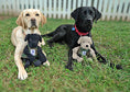 Load image into Gallery viewer, HuggleCause™, Warrior Canine Connection, Black Lab Luke Knottie® Plush Dog Toy, Large - image 7