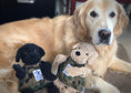 Load image into Gallery viewer, HuggleCause™, Warrior Canine Connection, Black Lab Luke Knottie® Plush Dog Toy, Large - image 9