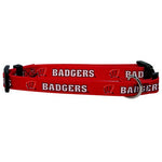 Wisconsin Badgers NCAA Dog Collar