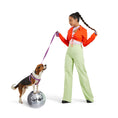 Load image into Gallery viewer, Dog Harness Kit.