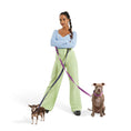 Load image into Gallery viewer, Dog Collar Kit.