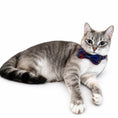 Load image into Gallery viewer, "Bunchie" Bow Scrunchie Collar