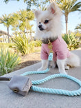 Load image into Gallery viewer, LEASH - DESERT MINT