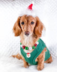 Load image into Gallery viewer, Parisian Pet 'Dear Santa Define Good' Dog Christmas T-Shirt - Festive Pet Shirt for Cats & Dogs, Green