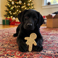 Load image into Gallery viewer, Gingerbread Man Nylon Dog Chew Toy for Aggressive Chewers | USA Made