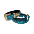 Load image into Gallery viewer, Turquoise & Black Swarovski Crystal Hardware Snake Collar & Leash Set