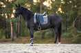 Load image into Gallery viewer, Spaceship Grey Saddle Pad