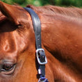 Load image into Gallery viewer, Magna Halter ™ in Blue with Fleece Noseband and Leather Breakaway