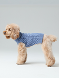 Load image into Gallery viewer, Pet Sweater Vest - Ice Blue